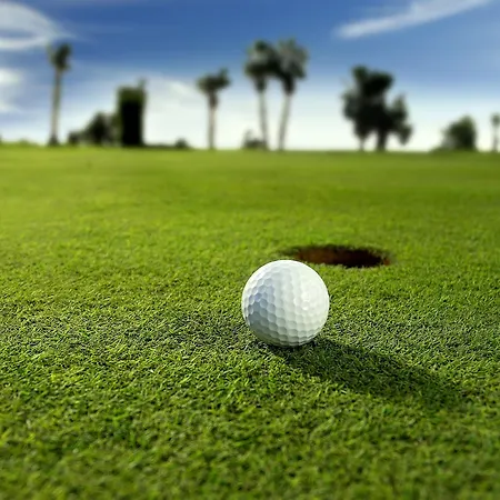 Bahia Del Duque 5* アデヘ