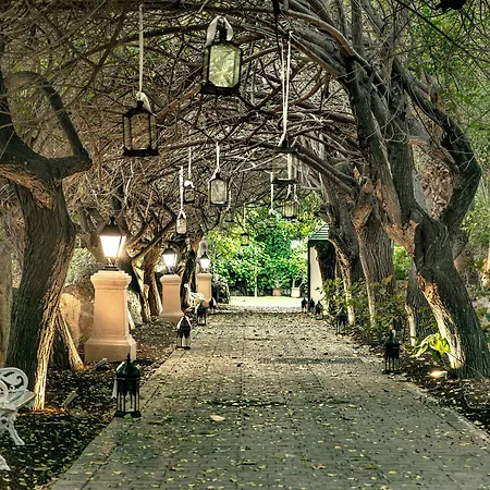 ホテル Bahia Del Duque 5*